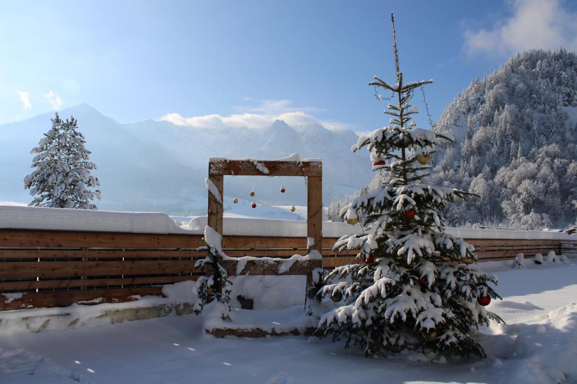 Kaiser * Walchsee